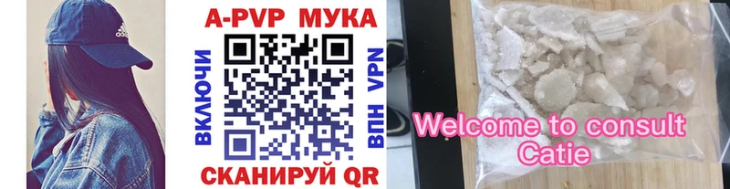 Alfa_PVP СК Новокузнецк