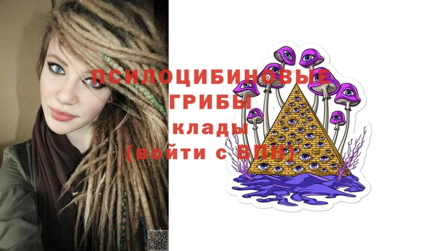 PSILOCYBIN Михайловка