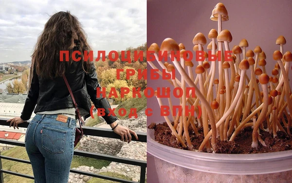 PSILOCYBIN Михайловка