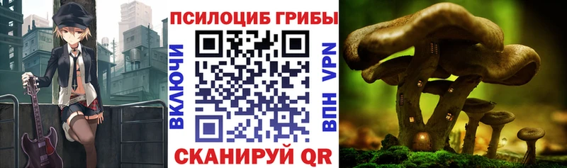 Галлюциногенные грибы прущие грибы  Новокузнецк 