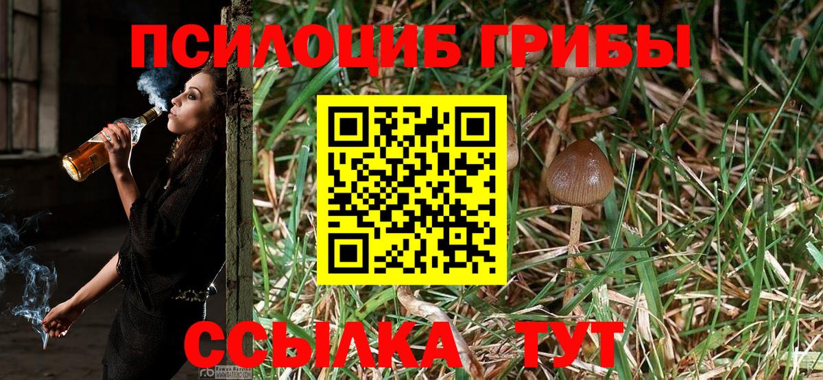 Псилоцибиновые грибы GOLDEN TEACHER  Галлюциногенные грибы мухоморы  Новокузнецк 