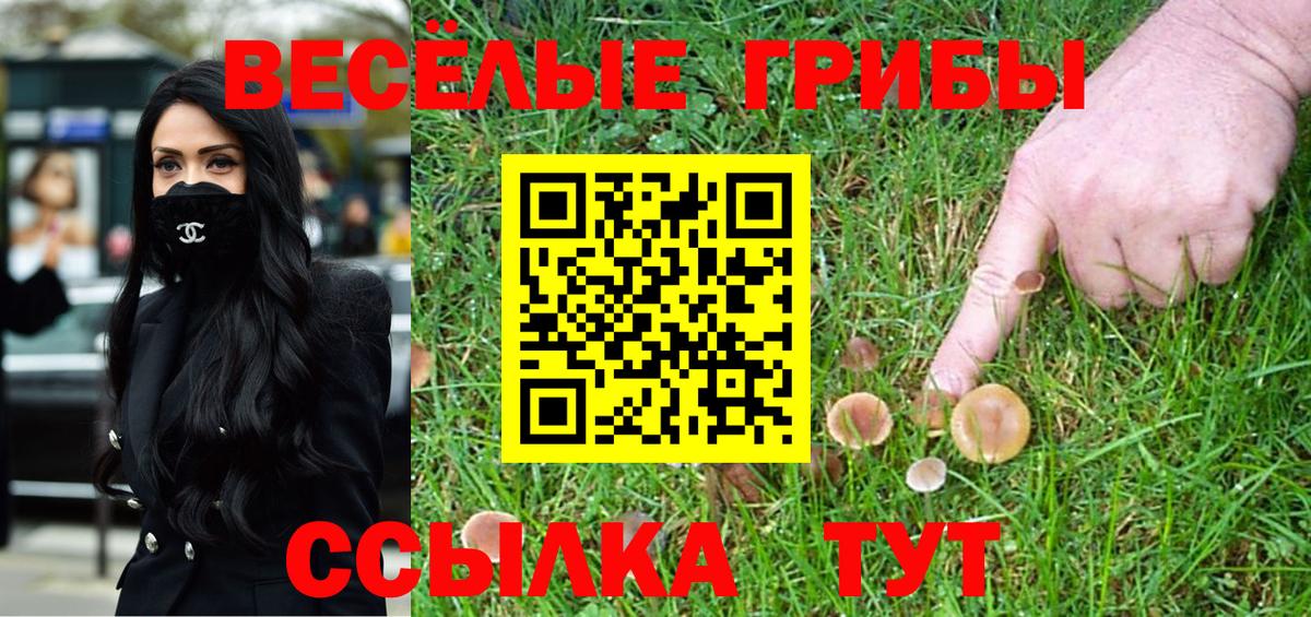 Новокузнецк  Псилоцибиновые грибы мухоморы  купить наркотики сайты  Вход с VPN 