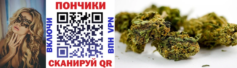 Шишки марихуана гибрид  Новокузнецк 