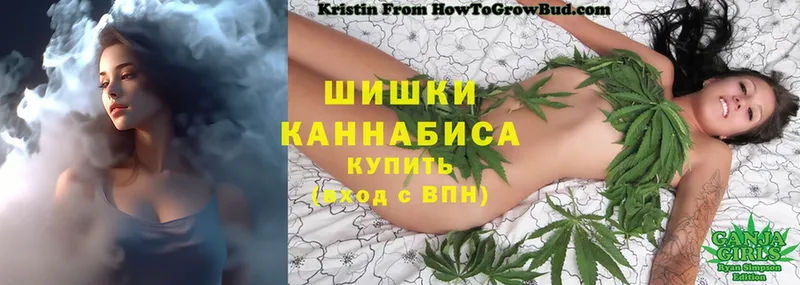 Бошки марихуана SATIVA & INDICA  Новокузнецк 